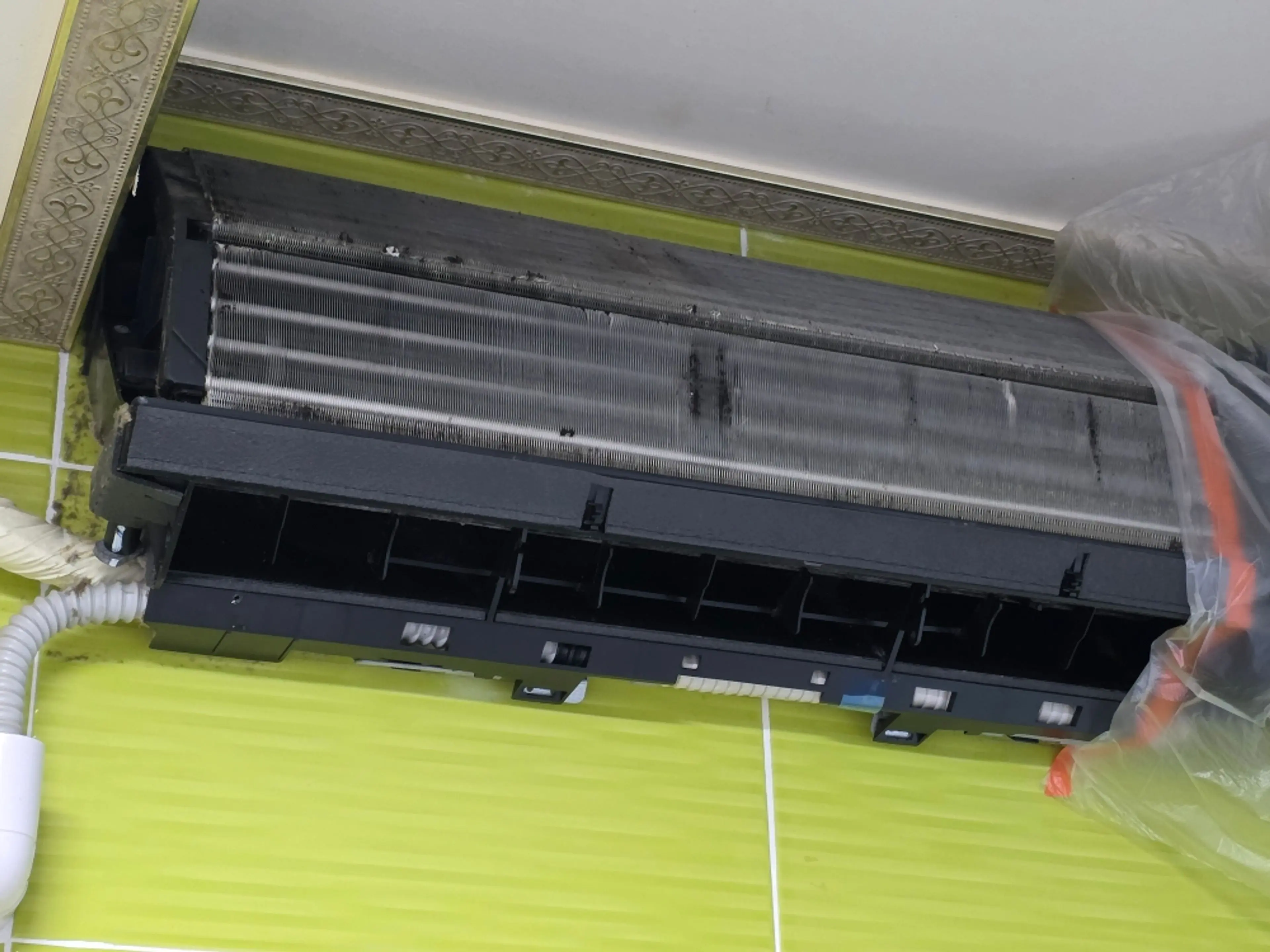 fa65ffcf-dca0-4af2-b5fc-435d91bcd48b.jpg