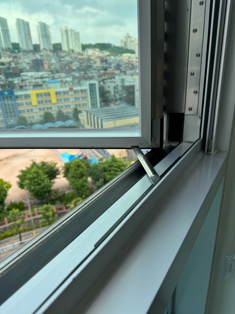 후기 사진 2