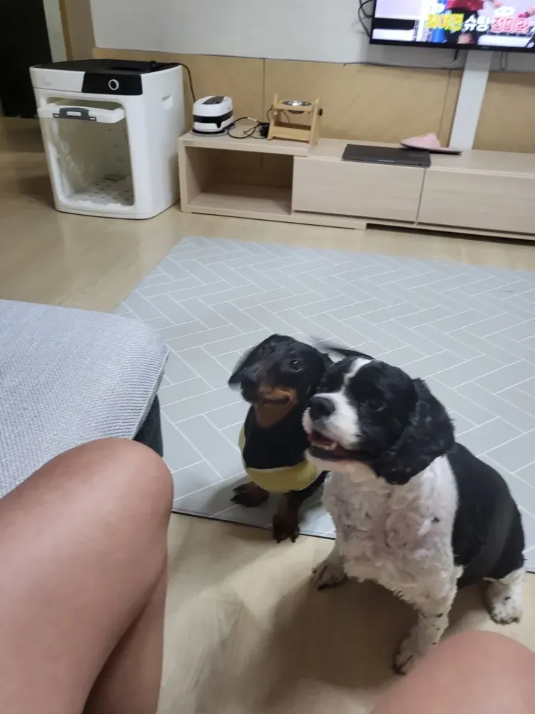 리뷰 이미지