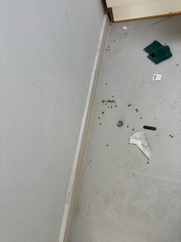 후기 사진 3