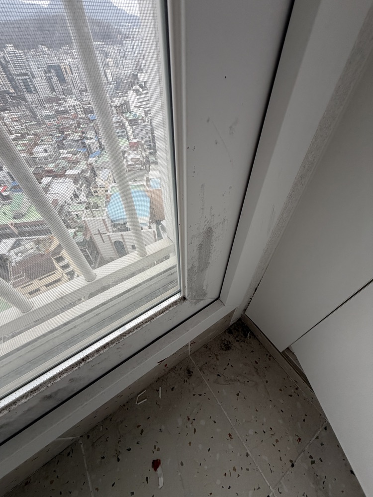 후기 사진 2
