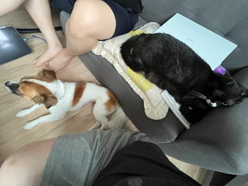 리뷰 이미지