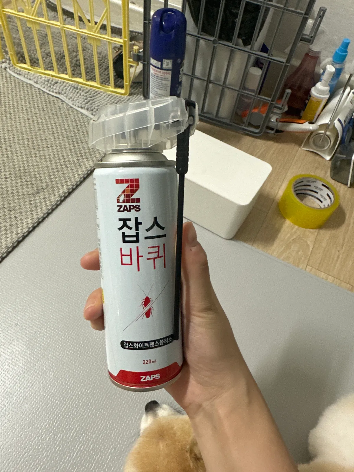 리뷰 이미지