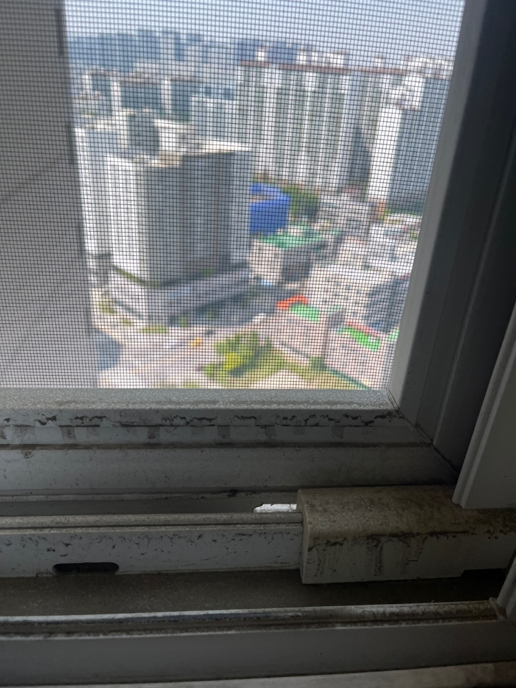 후기 사진 5