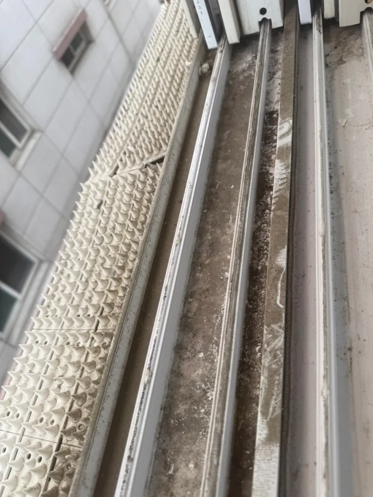 f4b2ff02-dcaf-44be-8ce1-d27f4aca1e41.jpg?webp=1