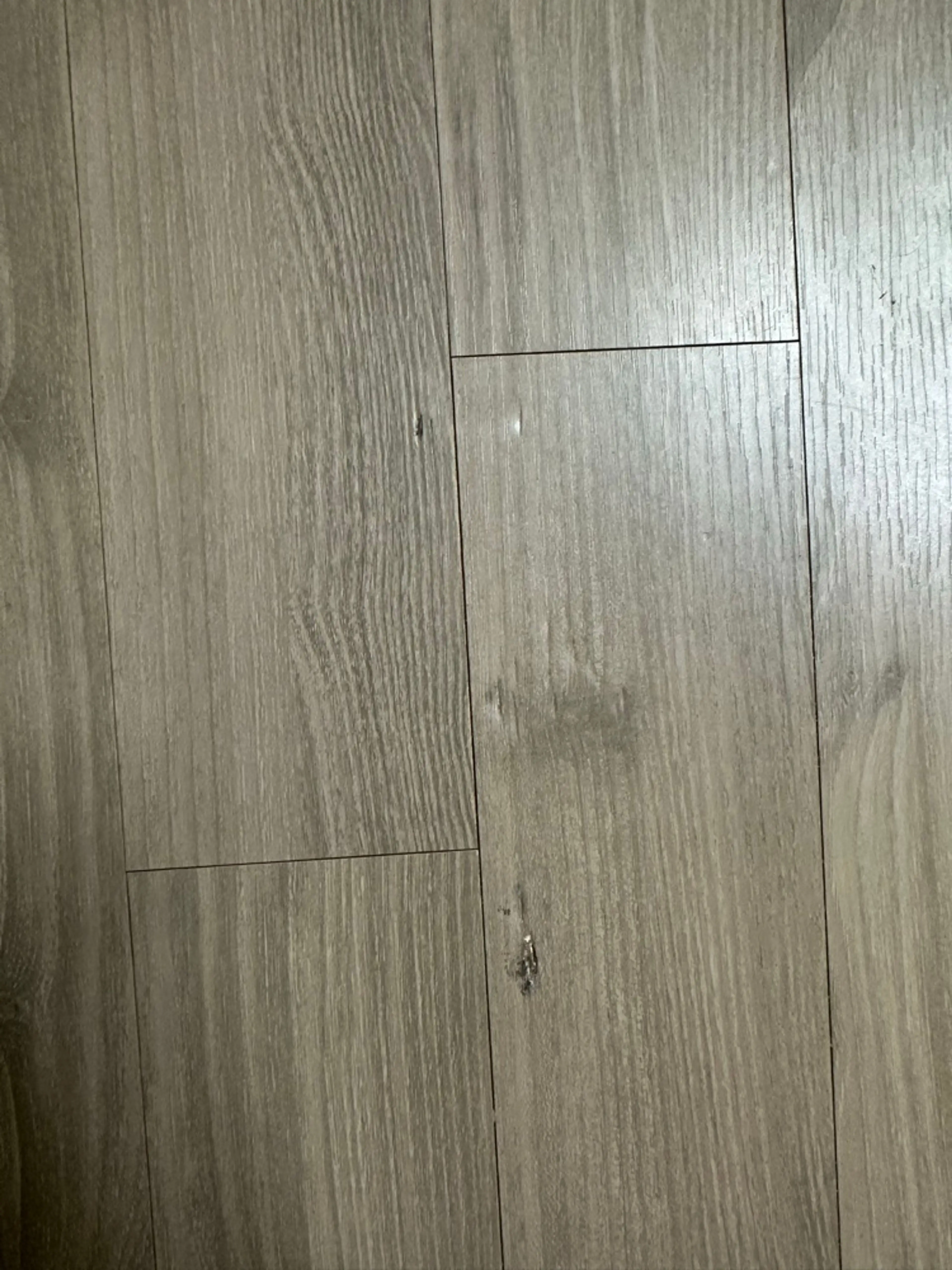 87F6A65F-2174-4B05-9C5B-CD8B932265C4.jpg