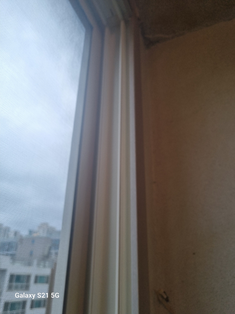 후기 사진 2