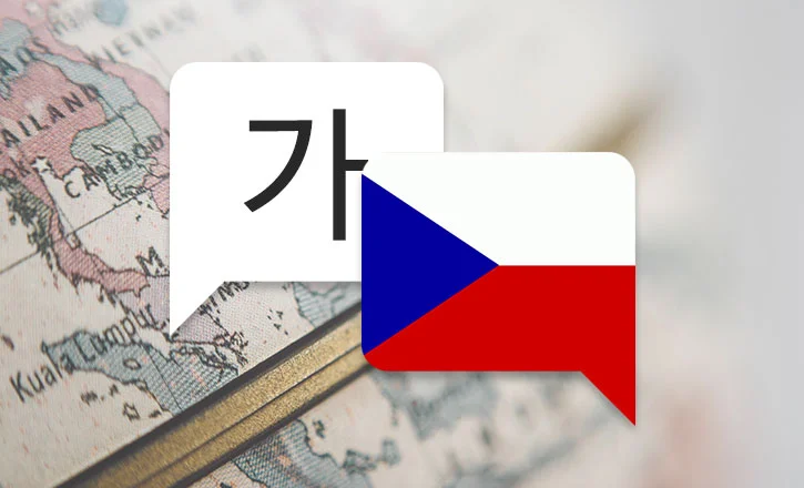 체코어 통역