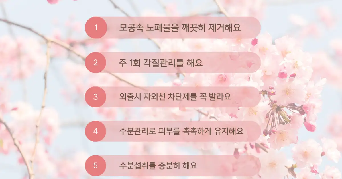 💗봄철 피부관리 꿀팁💗 - 숨고, 숨은고수 💗봄철 피부관리 꿀팁💗