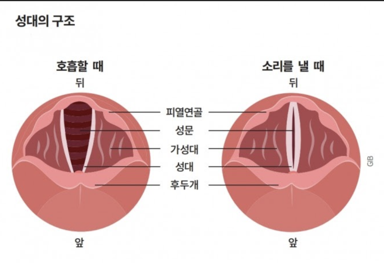 성악 발성을 처음 배울 때의 자세 - 숨고, 숨은고수