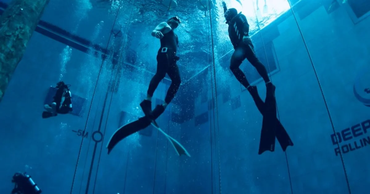 PADI Freediving - 마켓 서비스 커머스 - 숨고, 숨은고수 PADI Freediving - 마켓 서비스 커머스